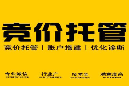 行业领先企业的SEM运营推广实战